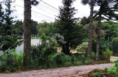 Terreno noo centro de nova petrópolis na serra gaúcha
