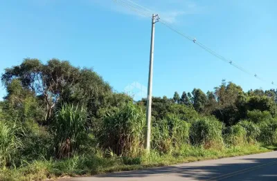 Chácara / sítio à venda na Linha Olinda Até Linha Nova, 2, Zona Rural, Linha Nova