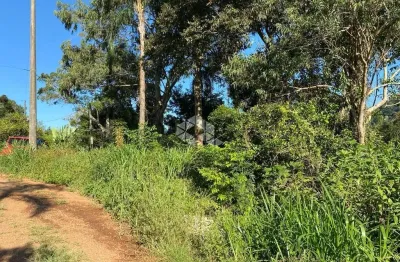 Chácara / sítio à venda na Fazenda Pirajá, 1001, Zona Rural, Nova Petrópolis
