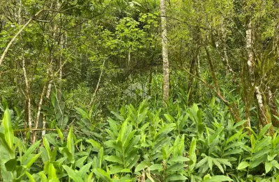 Chácara / sítio à venda na Pedancino, 1, Zona Rural, Nova Petrópolis