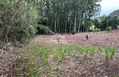 Chácara / sítio à venda na Linha Olinda, 10, Linha Olinda, Nova Petrópolis