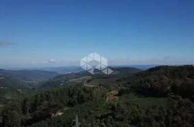 Belíssima área de 2,3 ha a 800m do asfalto e a 11 km do centro de nova petrópolis.