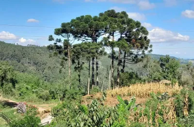 Belíssima área de 2,3 ha a 800m do asfalto e a 11 km do centro de nova petrópolis.