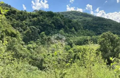 Chácara / sítio à venda na Stille Eck, 3000, Zona Rural, Nova Petrópolis