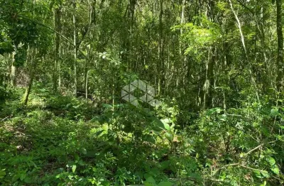 Chácara / sítio à venda na Ackermann, 7500, Zona Rural, Nova Petrópolis