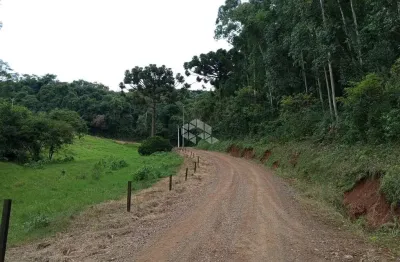 Chácara / sítio à venda na Nicolau Weber, 1, Pinhal Alto, Nova Petrópolis
