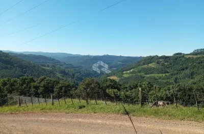 Chácara de 8000m² no interior de nova petrópolis no distrito de pinhal alto, serra gaúcha.