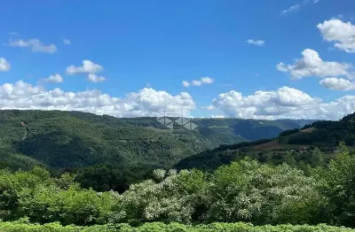 Chácara / sítio com 3 quartos à venda na Boa Vista, 800, Pinhal Alto, Nova Petrópolis