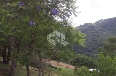 Chácara / sítio à venda na Da Pedreira, 1500, Fazenda Pirajá, Nova Petrópolis