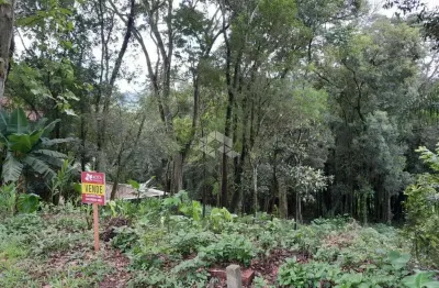 Excelente terreno em picada café. ótima oportunidade de negócio e investimento.