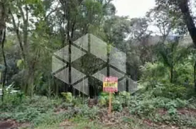 Excelente terreno em picada café. ótima oportunidade de negócio e investimento.