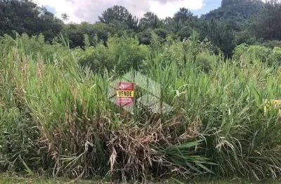 Terreno amplo e plano em frente ao asfalto localizado a poucos metros do centro e de fácil acesso à br 116.