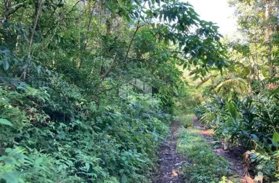 Chácara / sítio à venda na Rua Dos Imigrantes, 50, Vila Olinda, Nova Petrópolis