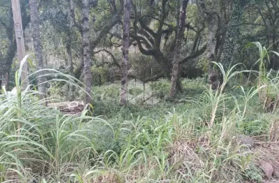 Terreno à venda na São Jacó, 6, Bavária, Nova Petrópolis