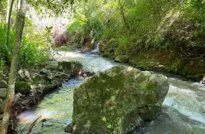 Chácara / sítio à venda na Akcermann, 7000, Bavária, Nova Petrópolis