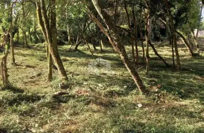 Terreno à venda na Alberto Lamberty, 100, Vila Germania, Nova Petrópolis