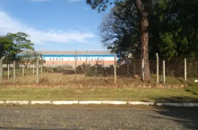 Terreno para venda  no bairro cristo rei em são leopoldo