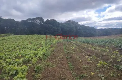 Chácara / sítio à venda na colônia murici, são josé dos pinhais  por r$ 1.720.000