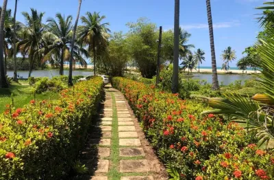 Chácara / sítio à venda no Centro, Maragogi 