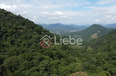Chácara / sítio à venda no testo rega, pomerode  por r$ 420.000