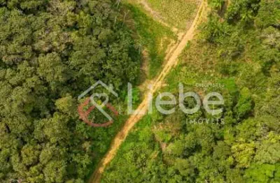 Chácara / sítio à venda no pomerode fundos, pomerode  por r$ 690.000