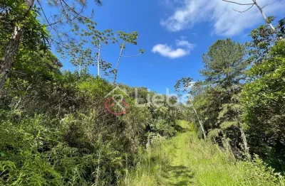 Terreno à venda no Testo Alto, Pomerode 
