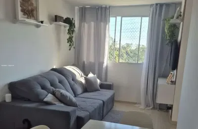 Apartamento para venda, jardim nathalie, 2 dormitórios, 1 banheiro, 1 vaga