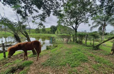 Chácara com 4 dormitórios sendo 1 suíte à venda, 52.859 m² por r$ 2.390.000 vila nova - joinville/sc