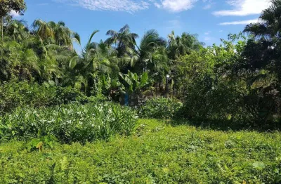 Terreno à venda, 3.464 m² por r$ 2.100.000 - centro (pirabeiraba) - joinville/sc