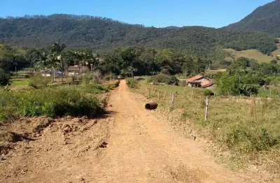 Chácara  à venda, 20000 m² por r$ 350.000 - santa luzia - jaraguá do sul/sc