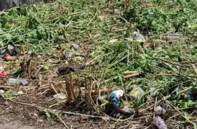 Terreno a venda - jardim iracema - taboao da serra - 270 m2 de área
