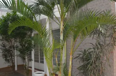 Casa 268m², 02 dormitórios e 02 banheiros .  excelente localização, entre as ruas barão do sabará, gabriele d'annunzio