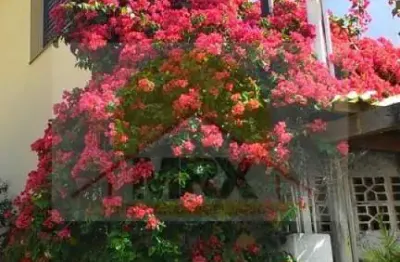 Casa com 3 quartos à venda na Avenida Itaboraí, 541, Saúde, São Paulo