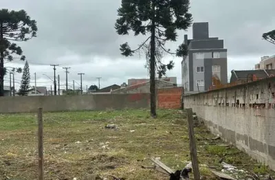 Terreno à venda na rua henrique coelho neto, vargem grande, pinhais por r$ 229.000