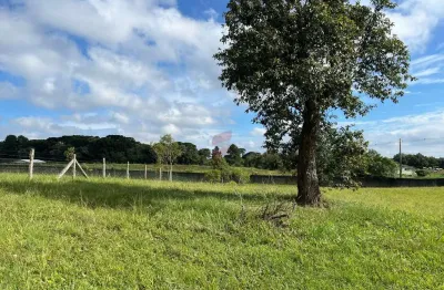 Terreno à venda na rua padre phelippe ledet, s/n, planta laranjeiras, piraquara, 3672 m2 por r$ 660.000