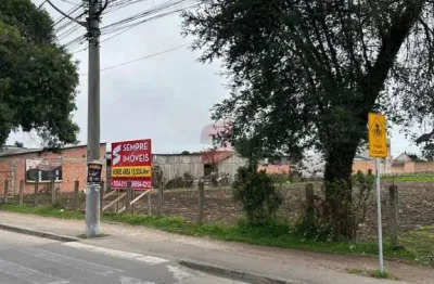 Terreno à venda na rua juri danilenko, 15, planta santa lúcia, piraquara por r$ 6.370.000
