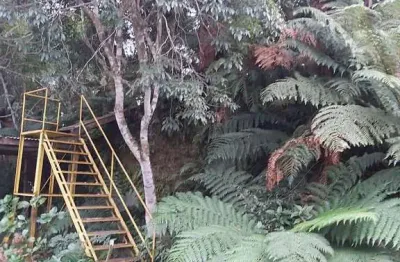 Terreno à venda em Colinas, São Francisco de Paula 