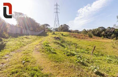 Terreno à venda, 9929 m² por r$ 1.300.000,00 - santa cândida - curitiba/pr