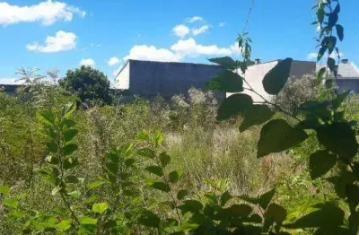 Terreno, 575 m² - venda por r$ 575.000,00 ou aluguel por r$ 3.107,05/mês - guaíra - curitiba/pr