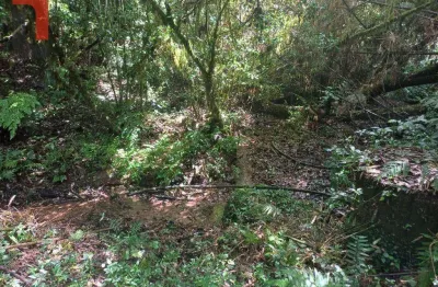Chácara com 1 dormitório à venda, 63200 m² por r$ 700.000,00 - bateias - campo largo/pr