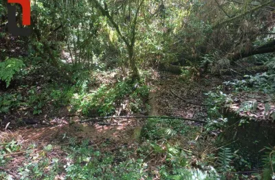 Chácara com 1 dormitório à venda, 63200 m² por r$ 700.000,00 - bateias - campo largo/pr