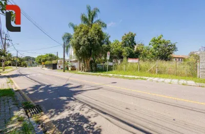 Terreno à venda, 601 m² por r$ 950.000,00 - seminário - curitiba/pr