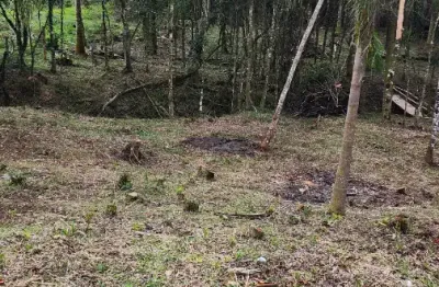 Chácara a venda na roseira divisa de colombo com campina grande do sul