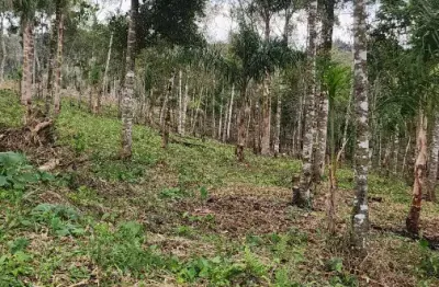 Chácara / sítio à venda na Rua Coronel Monteiro, Roseira, Campina Grande do Sul