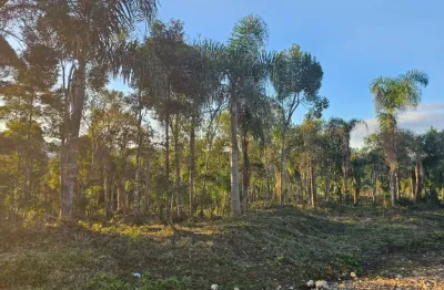 Belíssima área na roseira divisa de colombo com campina grande do sul