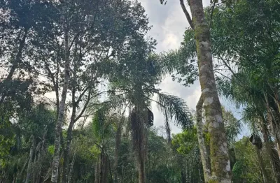 Belíssima área a venda roseira - divisa de colombo com campina grande do sul