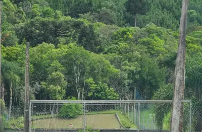 Chácara / sítio com 1 quarto à venda na Rua Coronel Monteiro, Roseira, Campina Grande do Sul