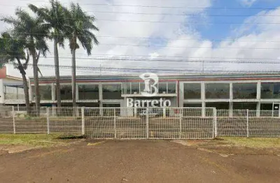 Barracão para locação - 1.800 m² por r$ 36.000/mês - jardim tropical- londrina/pr