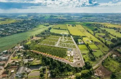 Terreno em condomínio fechado à venda, 220 m² por r$ 480.000 - gleba fazenda palhano - londrina/pr