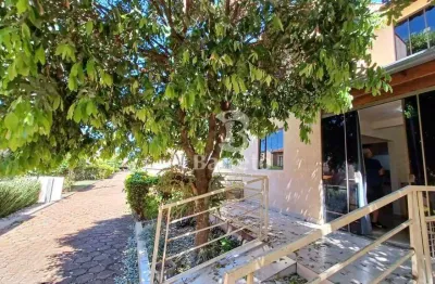 Casa com 3 quartos para alugar na Rua Juhei Muramoto, Jardim Tókio, Londrina